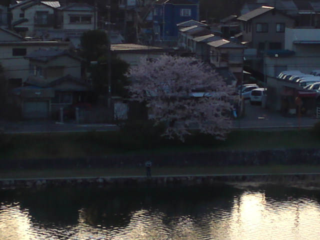 2012-04-14 05:55:23