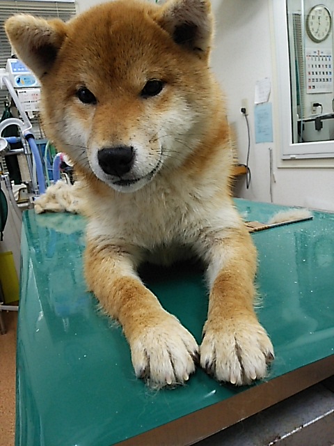 DSC_1084.JPG