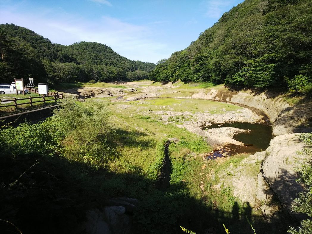 サイカチ沼 ｋａｓａの日記 楽天ブログ