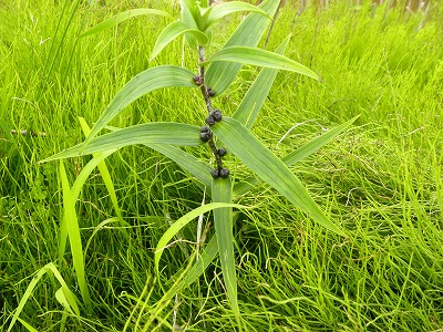 DSCN9249.jpg