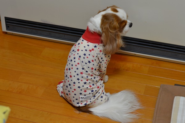 DSC_3943.jpg