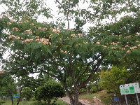 rblog-20130710142408-00.png