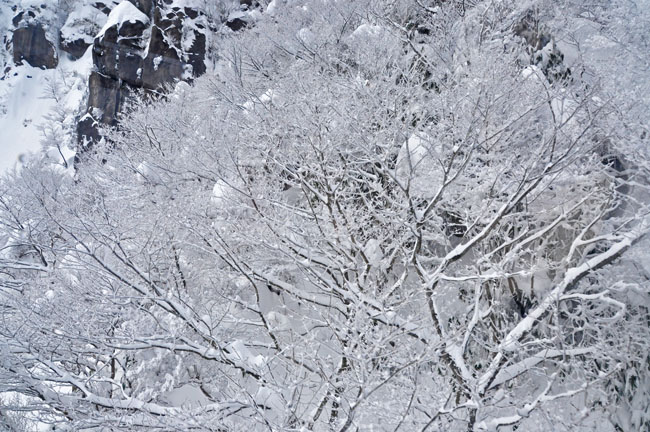 雪１