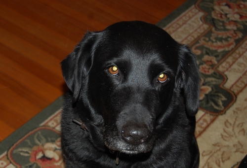 DSC_0034.JPG