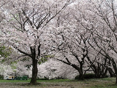 20160404