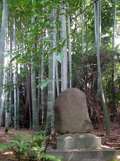 竹林.jpg