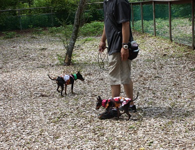カーロ2.jpg