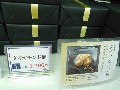 DSCN1872.JPG