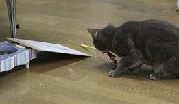 5DA_6617-14.jpg
