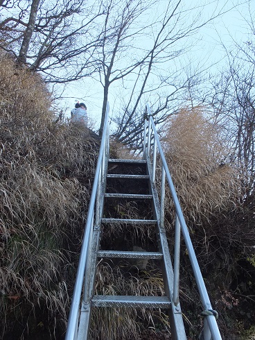 015m.jpg