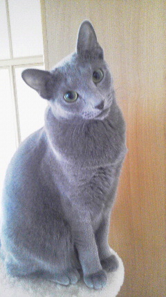 2012122310430000.jpg