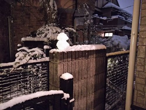 rblog-20180122231734-01.jpg