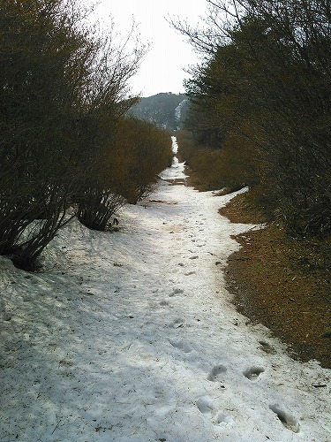 20150318徳仙丈山雪上ハイク.jpg