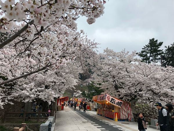 rblog-20180330004913-01.jpg