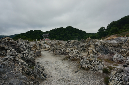 DSC03371.JPG