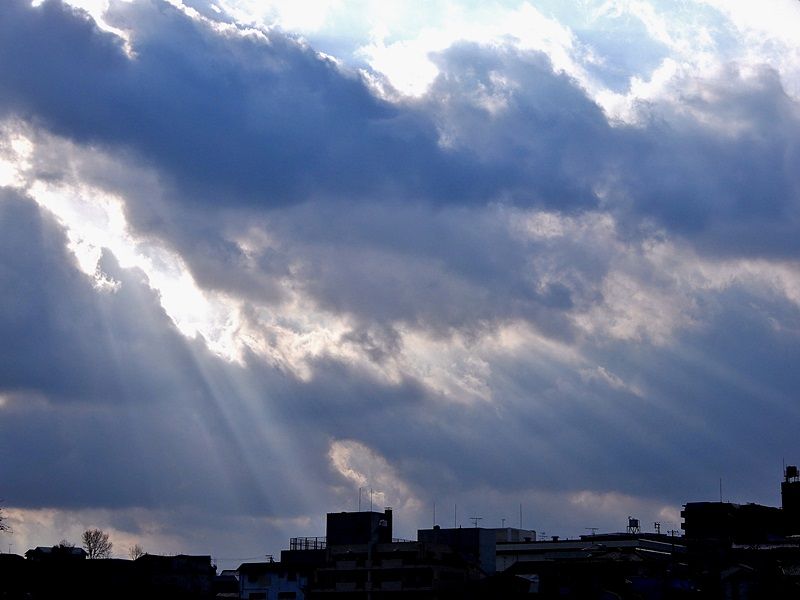 空4
