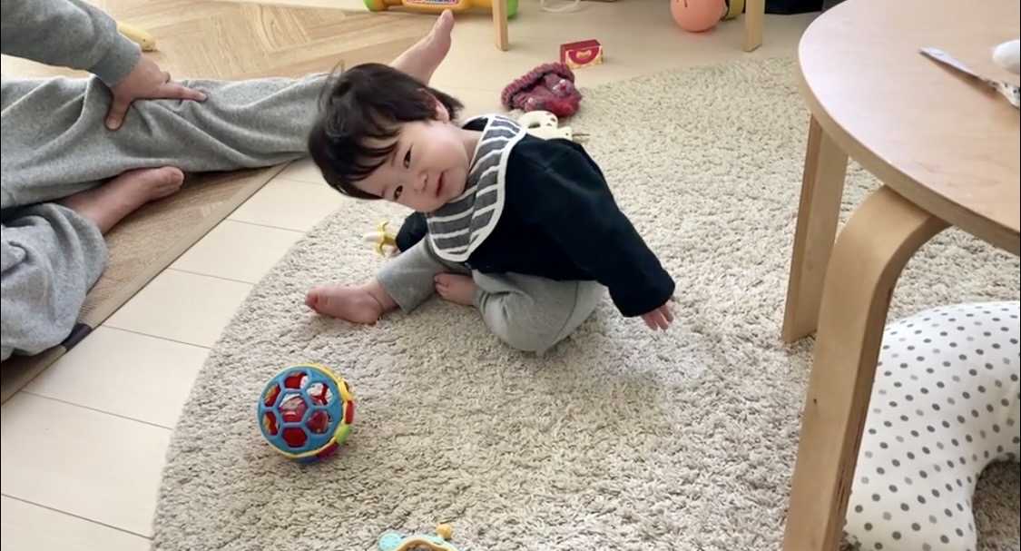 次女の赤ちゃん ちょっと歩き始めました 首かしげる仕草がかわいいなー Music Land 私の庭の花たち 楽天ブログ