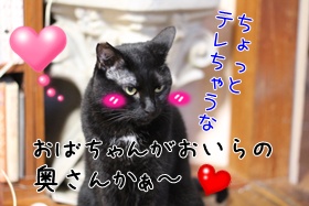 画像 115.jpg