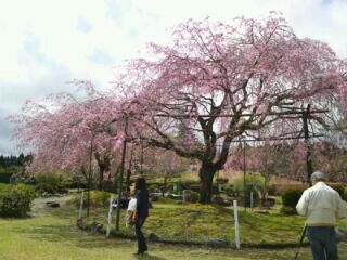 rblog-20140402120005-02.jpg