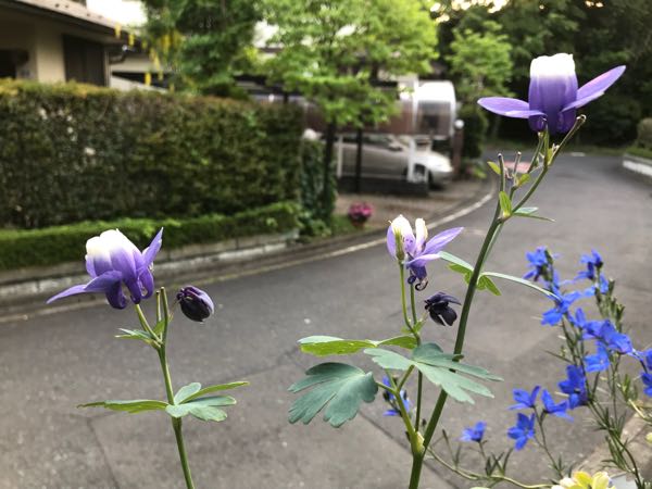 rblog-20180429182455-04.jpg