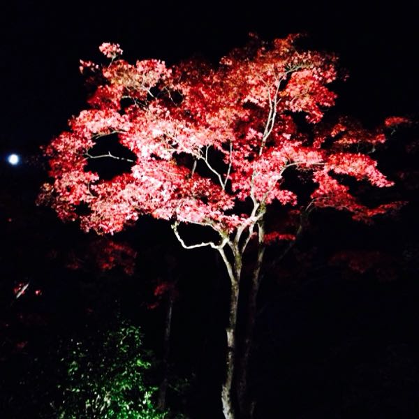 rblog-20141104201815-01.jpg
