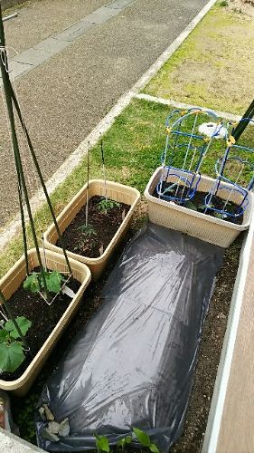 rblog-20180506171956-00.jpg