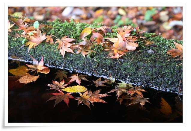 卯辰山三社-3 手水鉢-2 15.11.16