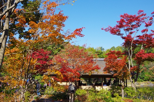 日本庭園にて