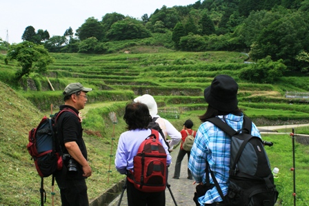 tanada3.JPG