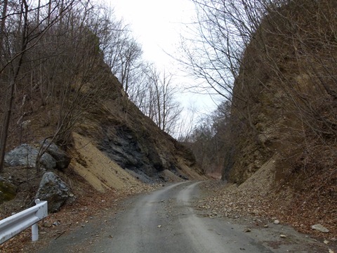 P1040961.JPG