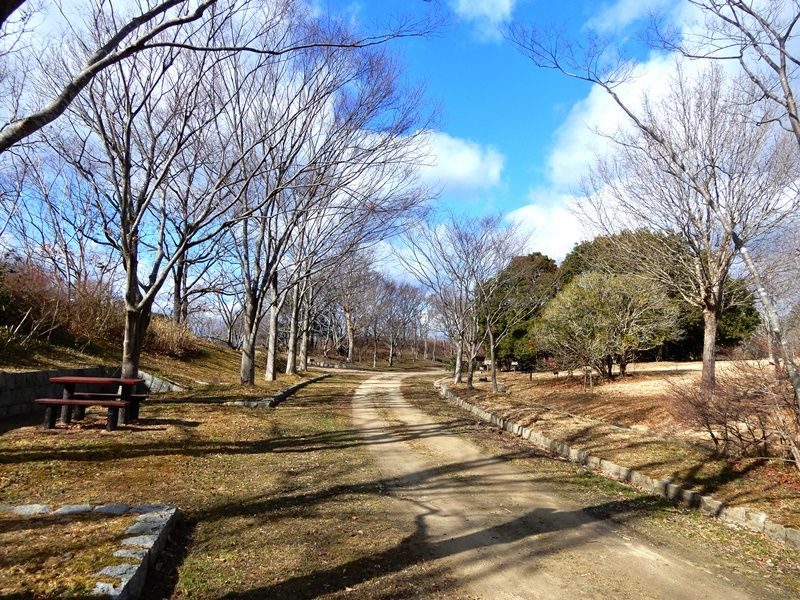 外周路1