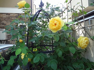 DSC05191.jpg