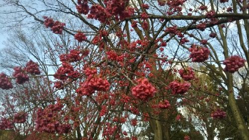rblog-20180310172654-03.jpg