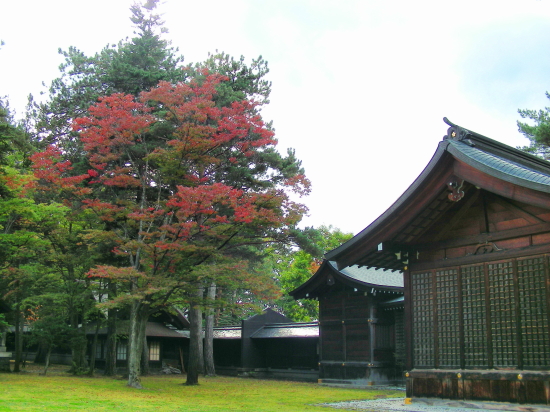 2017-09-27mori (2).JPG