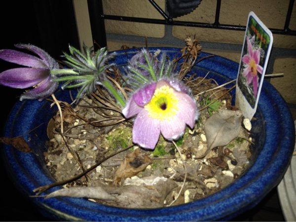 rblog-20140301210852-01.jpg