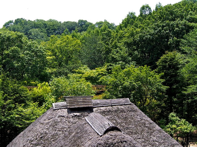 P5150066.jpg