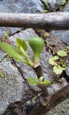 160418_0908~01.jpg