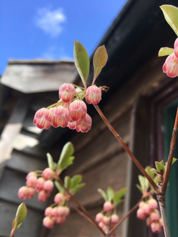 rblog-20190425203929-02.jpg