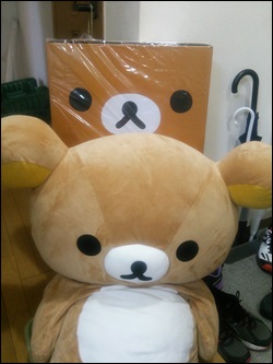 DSC_4513 (1)-250.JPG