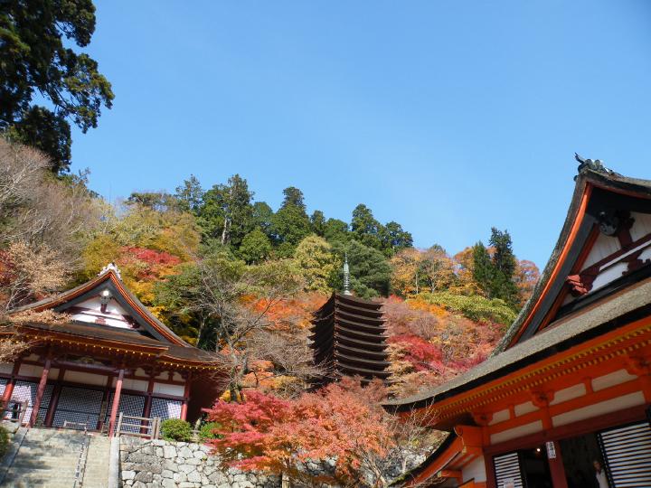 なら2013c-2談山神社.JPG