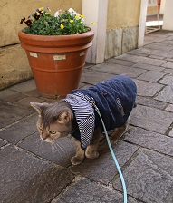 IMG_6015-18.jpg