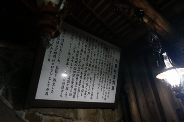 DSC01653.JPG
