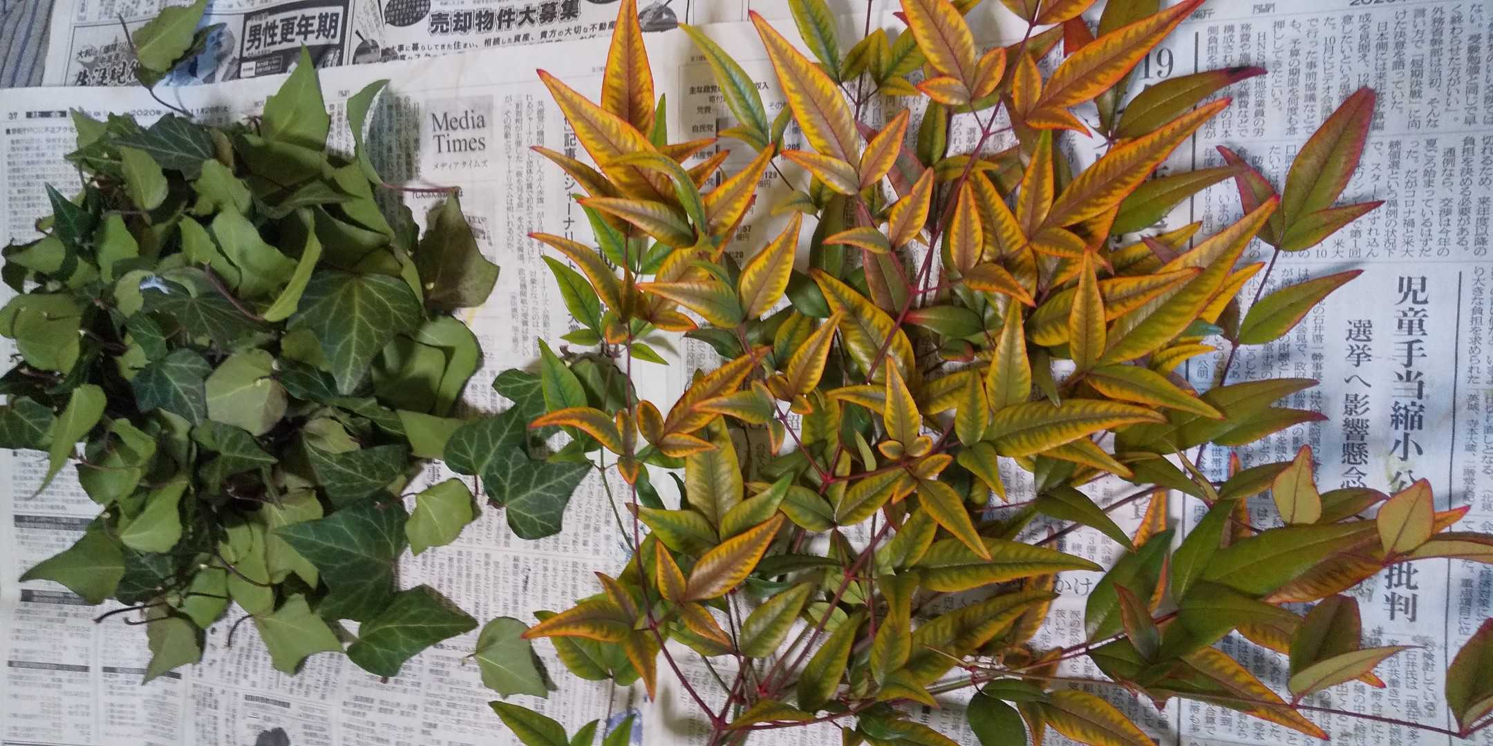 ミニツリー作り Lamp34 楽天ブログ