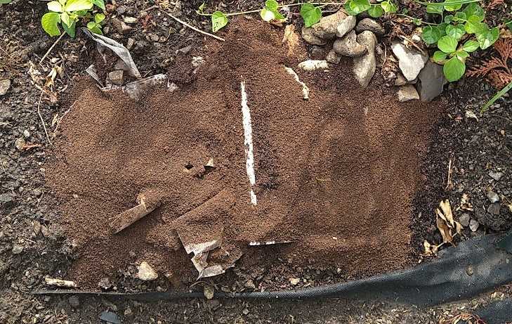 コーヒーがらで防草除草チャレンジです | hanahanahana38のブログ - 楽天ブログ