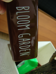 2017-04-20hana1 (3).JPG