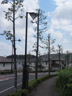 ゆ３坂.jpg