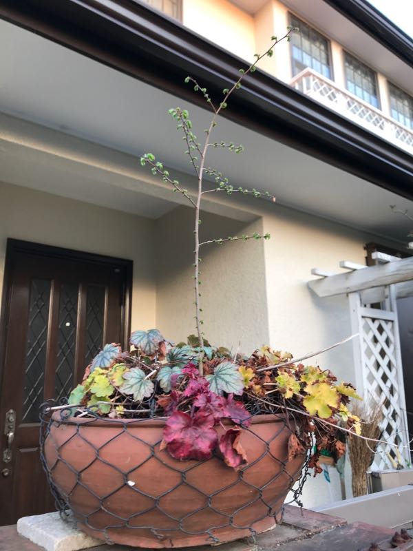 rblog-20180325191037-07.jpg