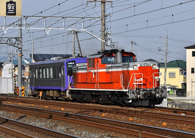 DSC_1257.JPG