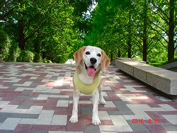 20120831クラフトパーク