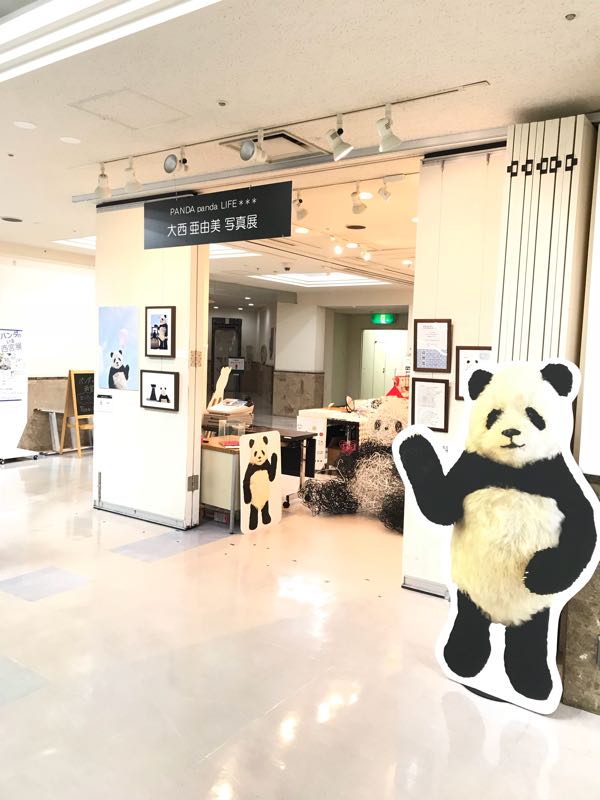 rblog-20180727092516-00.jpg